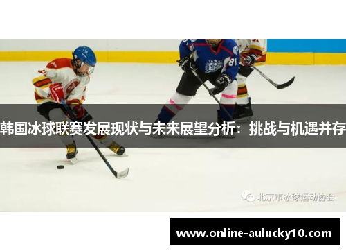 韩国冰球联赛发展现状与未来展望分析：挑战与机遇并存